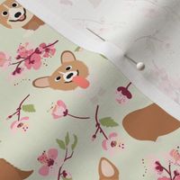 6" Corgi in spring florals fabric, cherry blossom sakura in asia , green