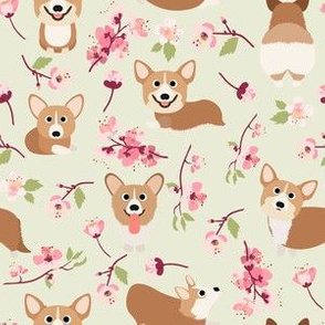 6" Corgi in spring florals fabric, cherry blossom sakura in asia , green