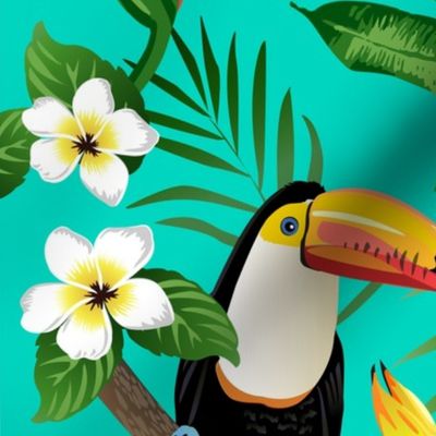 Tucan on Teal Tropical Birds Tropical Plan