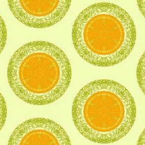 Zesty Slices of Orange on a Whisper of Citrus (#2)