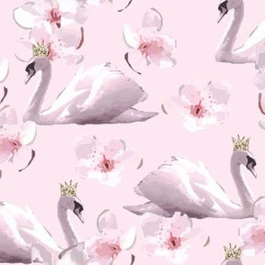 Swans and cherry blossoms