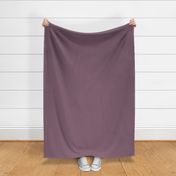 solid  greyed purple plum (856373)