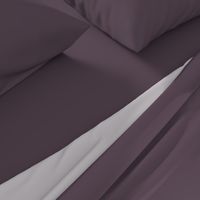 solid  dark very grey plum (5C4956)