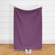 solid muted deep cool plum (85507A)