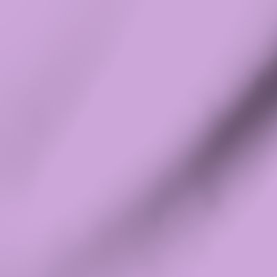solid pale pure purple (CCA5D9)