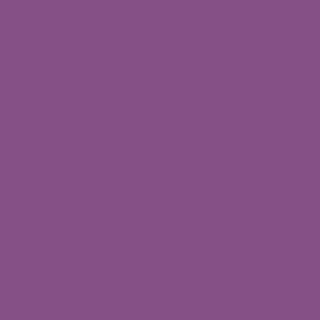 solid  muted deep warm purple (855085)