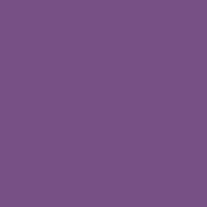 solid muted pure purple (775085)