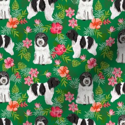 schapendoes hawaiian print - tropical dog print, hawaiian print fabric - green