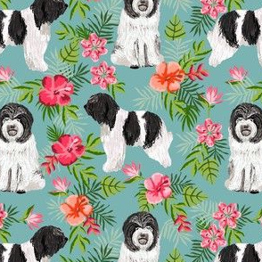 schapendoes hawaiian print - tropical dog print, hawaiian print fabric - blue