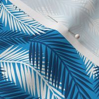 Palm Fronds-Blue Sky