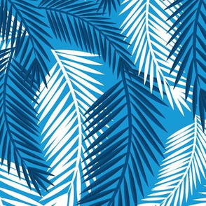 Palm Fronds-Blue Sky-Large