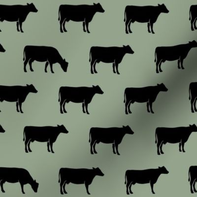 black cows on sage C19BS