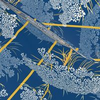 Queen Annes Lace  | Blue + Yellow