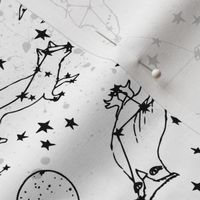 constellations // black and white kids designs nursery stars animals