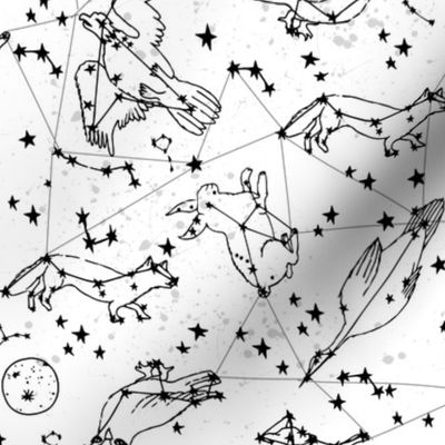 constellations // black and white kids designs nursery stars animals