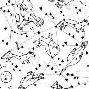 constellations // black and white kids designs nursery stars animals