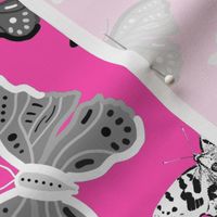 Butterfly Migration... #2 greyscale, B/W, hot candy pink, large