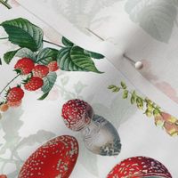 10" vintage botanical wildflowers red fungus and berries on white Psychadelic  Mushroom Wallpaper