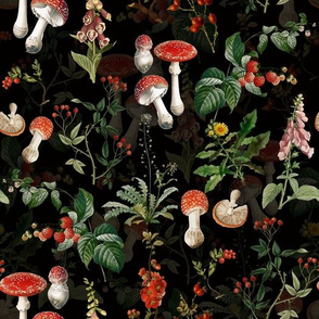 10" vintage botanical wildflowers red fungus and berries on dark moody floral black Psychadelic  Mushroom Wallpaper