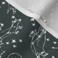 constellations // dark grey charcoal green stars animals kids nursery baby