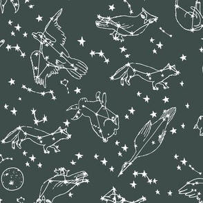 constellations // dark grey charcoal green stars animals kids nursery baby