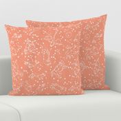 constellations // peach blush kids animals girls nursery baby kids animals moon stars night time