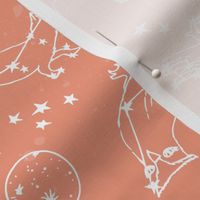 constellations // peach blush kids animals girls nursery baby kids animals moon stars night time