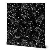 constellations // black and white stars kids nursery baby animals night time sky dreams 