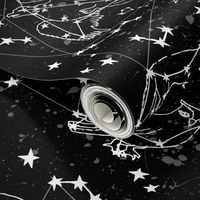 constellations // black and white stars kids nursery baby animals night time sky dreams 