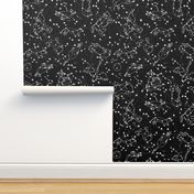 constellations // black and white stars kids nursery baby animals night time sky dreams 