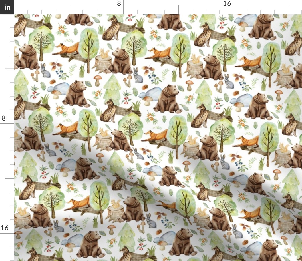 6" Woodland Animals - Baby Animal in Wild Forest -white background