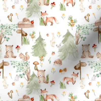 6" Woodland Animals - Baby Animal in Wild Forest -white background