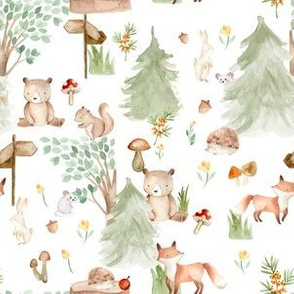6" Woodland Animals - Baby Animal in Wild Forest -white background