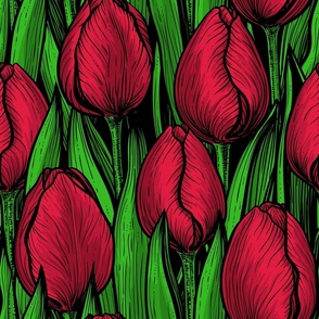 Red tulips