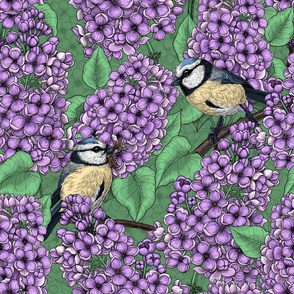 Tit birds in the lilac garden 2