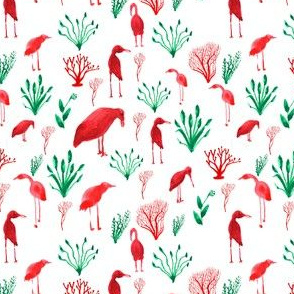 shorebirds in red and green