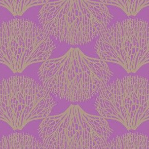 Coral Ogee in Orchid