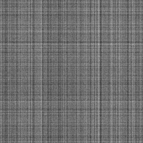 BN1 -  Tweed Texture in Grey