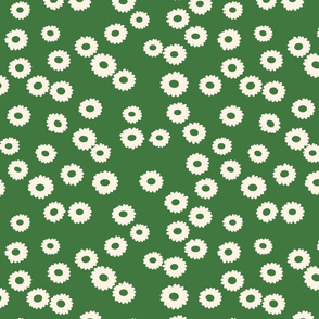 Daisy flowers green  