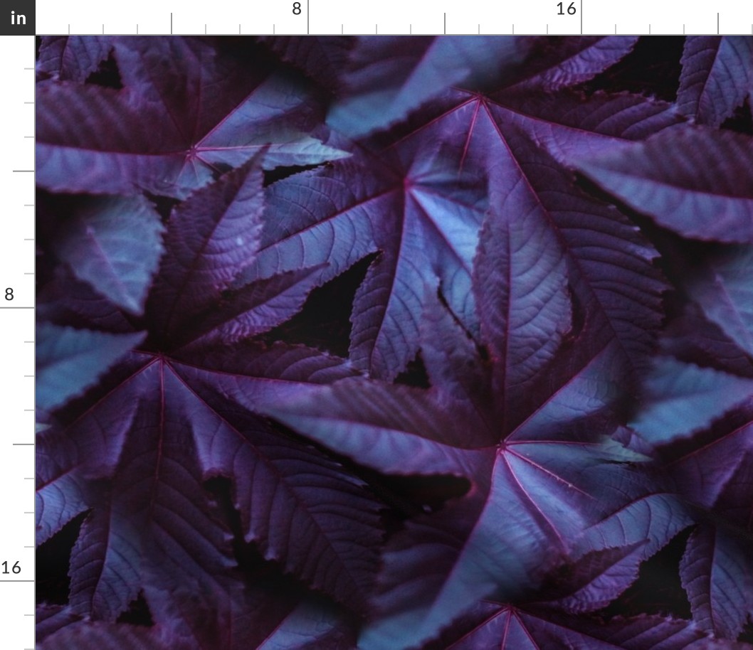 Purple and-Blue Leafy Plant 