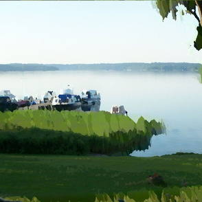 Lake view. 