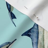 watercolor spinner dolphins on aqua (large)