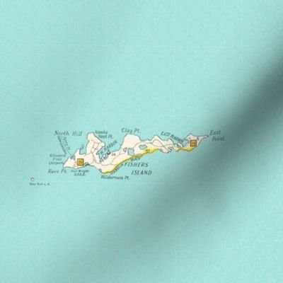 Fishers Island - Railroad Map Pattern (Aqua)