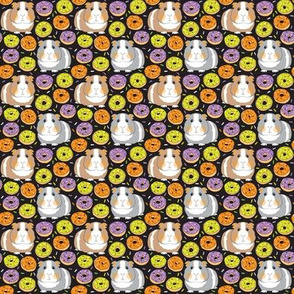 tiny halloween guinea pigs and donuts green purple orange