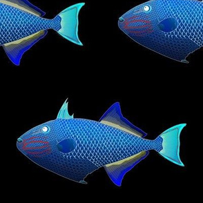 Redtail Triggerfish in deep sea colors