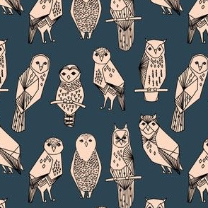SMALL - owl // blush and navy hand-drawn illustration bird owl by Andrea Lauren
