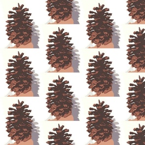 Giant Pinecone