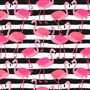 Flamingo Allover on Torn Stripe