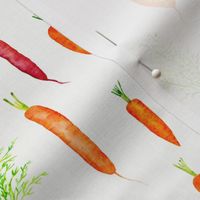 Organic Carrots // Off White