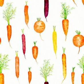 Organic Carrots // Off White